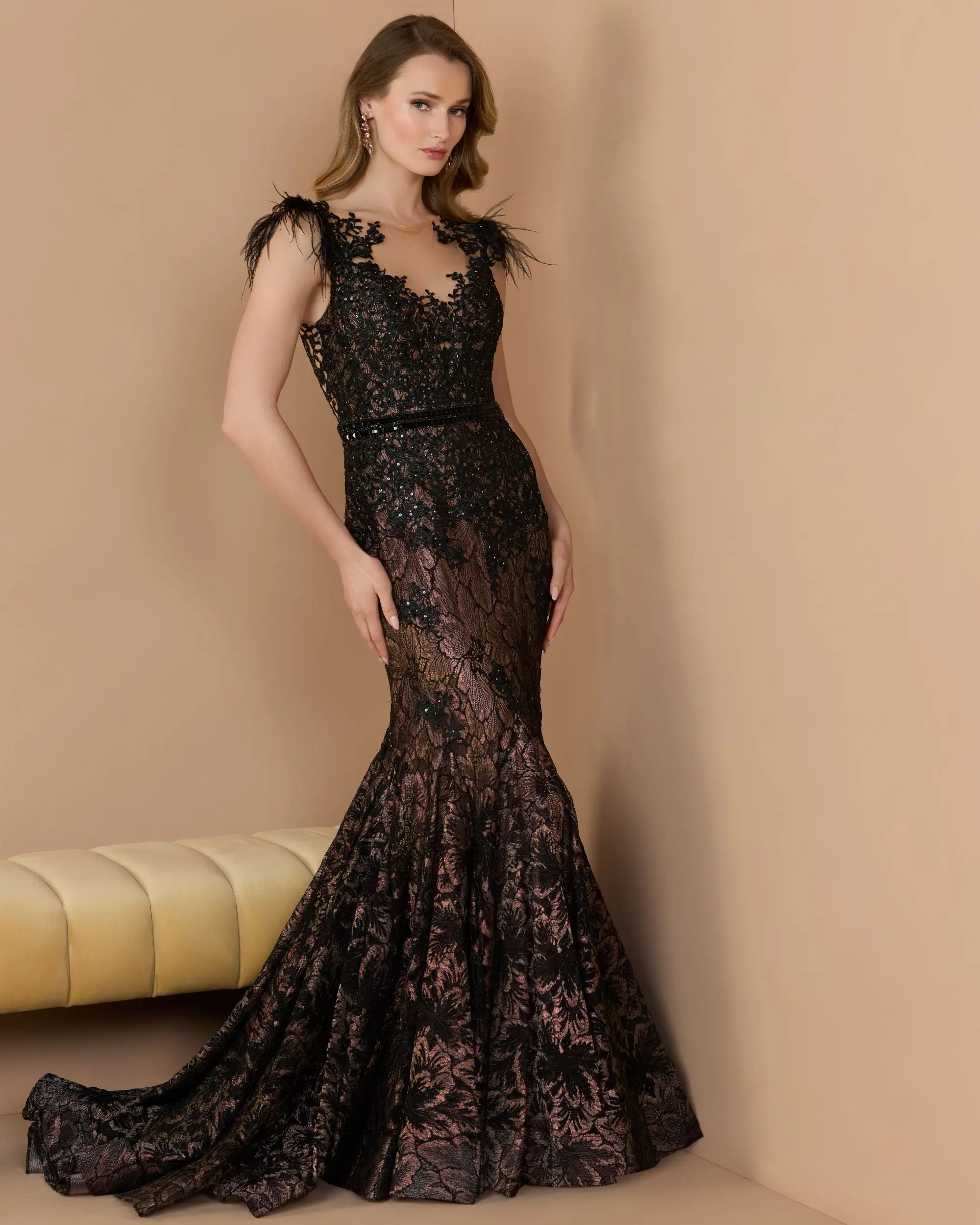 Black Embellished Lace High Neck Gown With Feather Sleeves