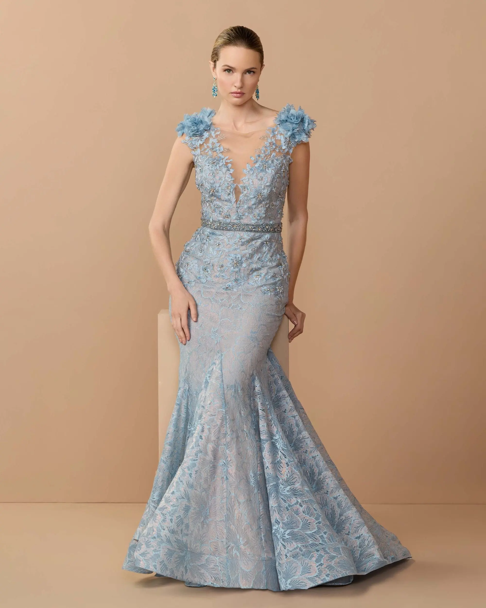 Embroidered Illusion Appliqued Bodice Trumpet Gown